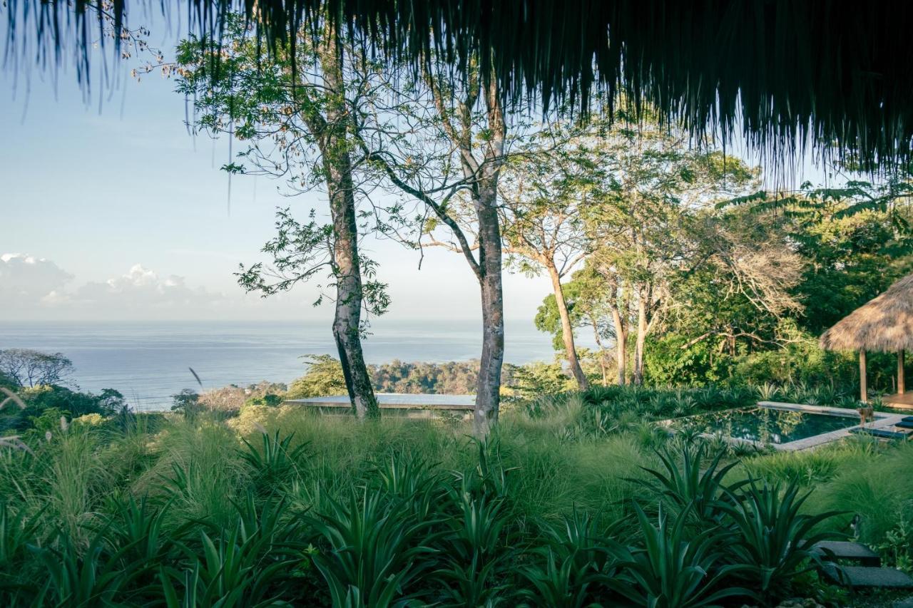Thea Resort & Retreats - Santa Teresa Playa Santa Teresa  Exteriör bild