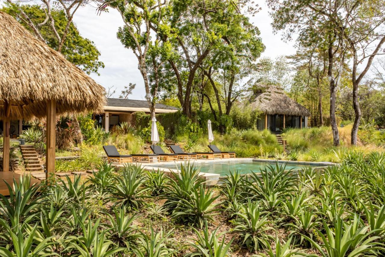 Thea Resort & Retreats - Santa Teresa Playa Santa Teresa  Exteriör bild